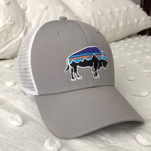 Patagonia Trucker Hat